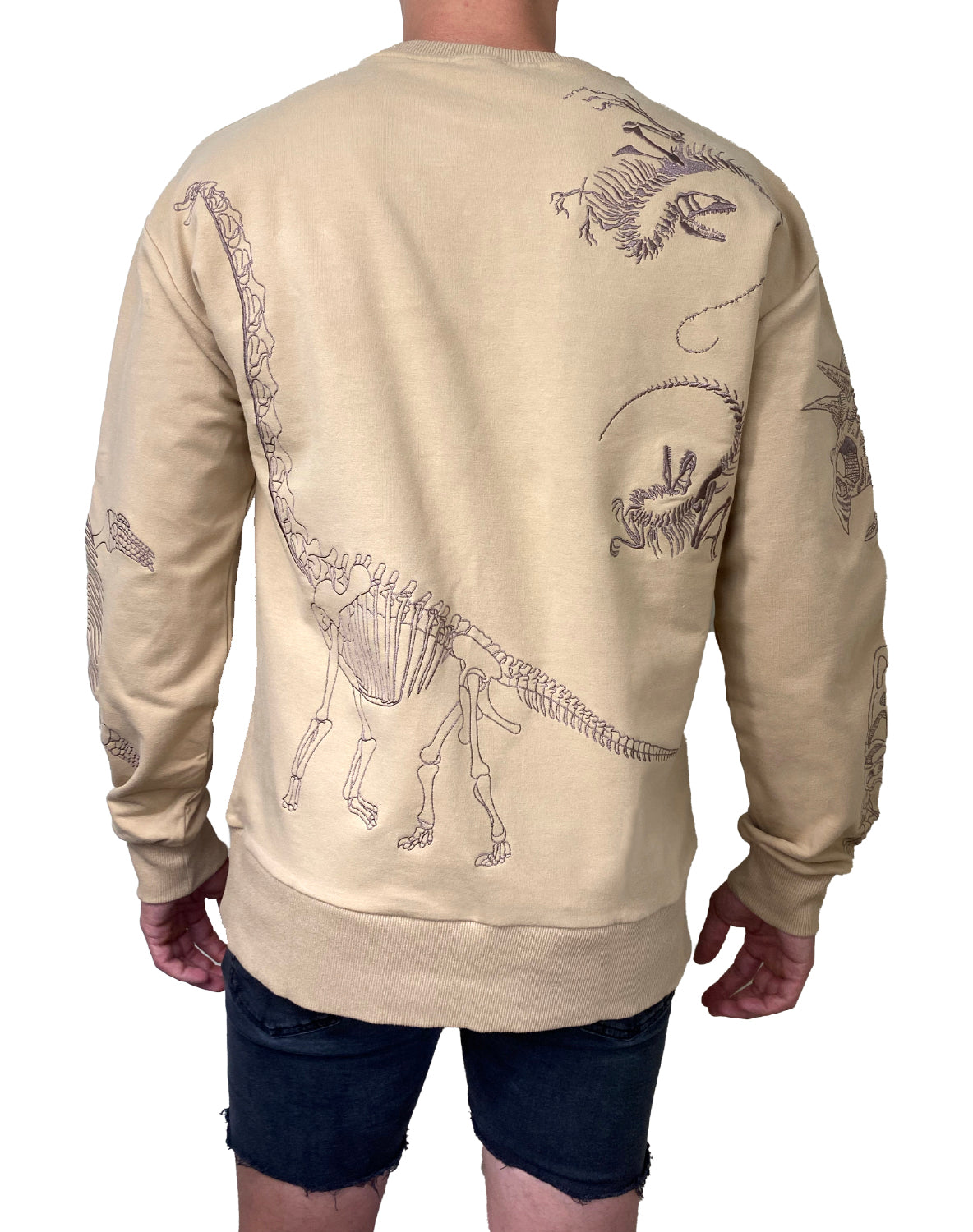 Dirt Squirrel Dinosaur Embroidered Sweater Back